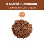 Siddh Rudraksha Bead 9 Face (Mukhi) 18 - 24mm
